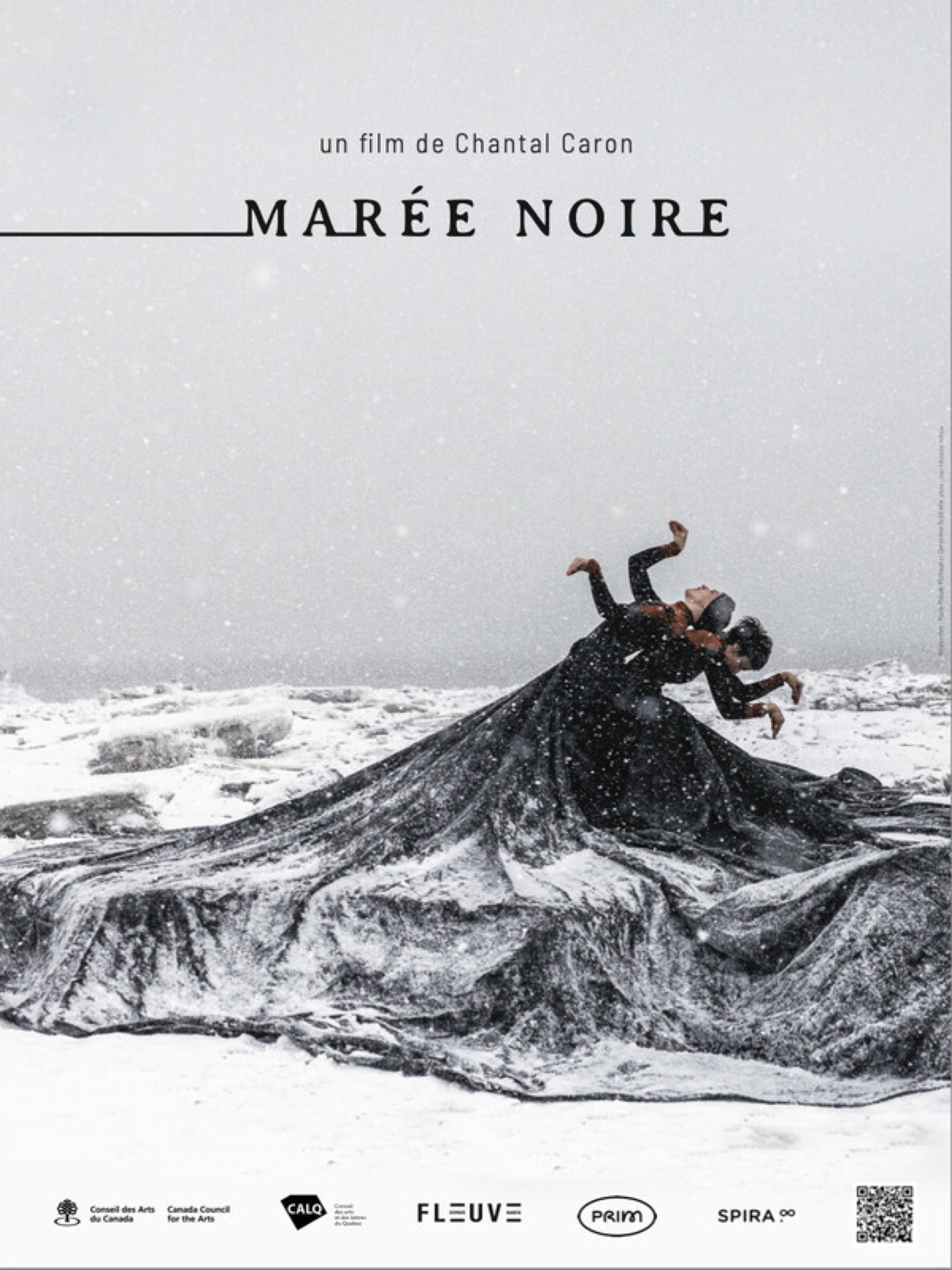 Affiche du film Marée Noire