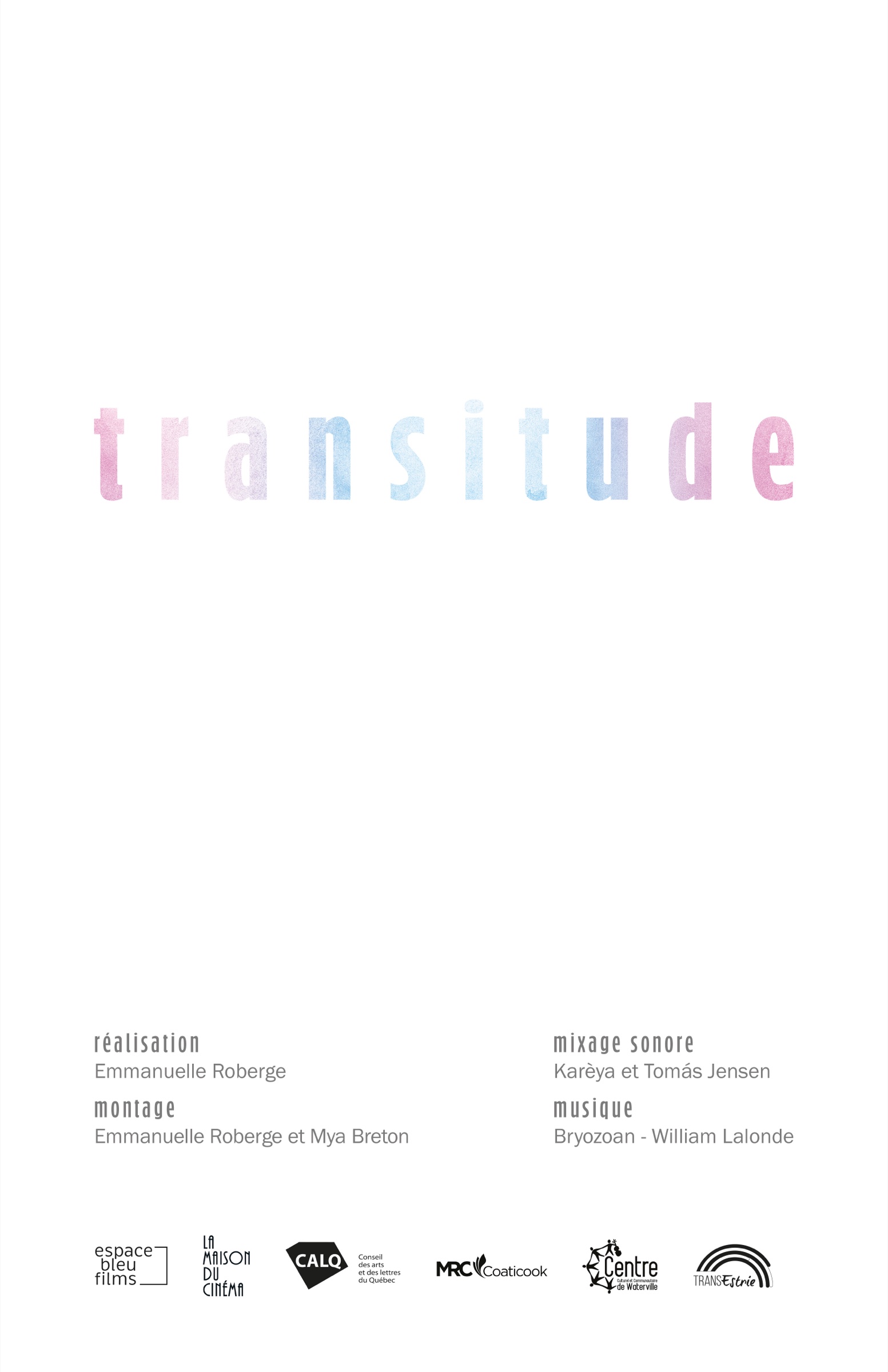 Affiche du film Transitude