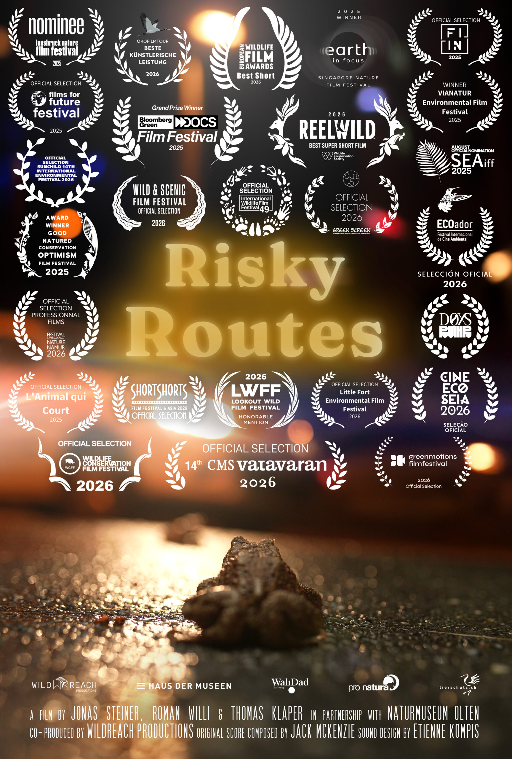 Visuel du film Risky route