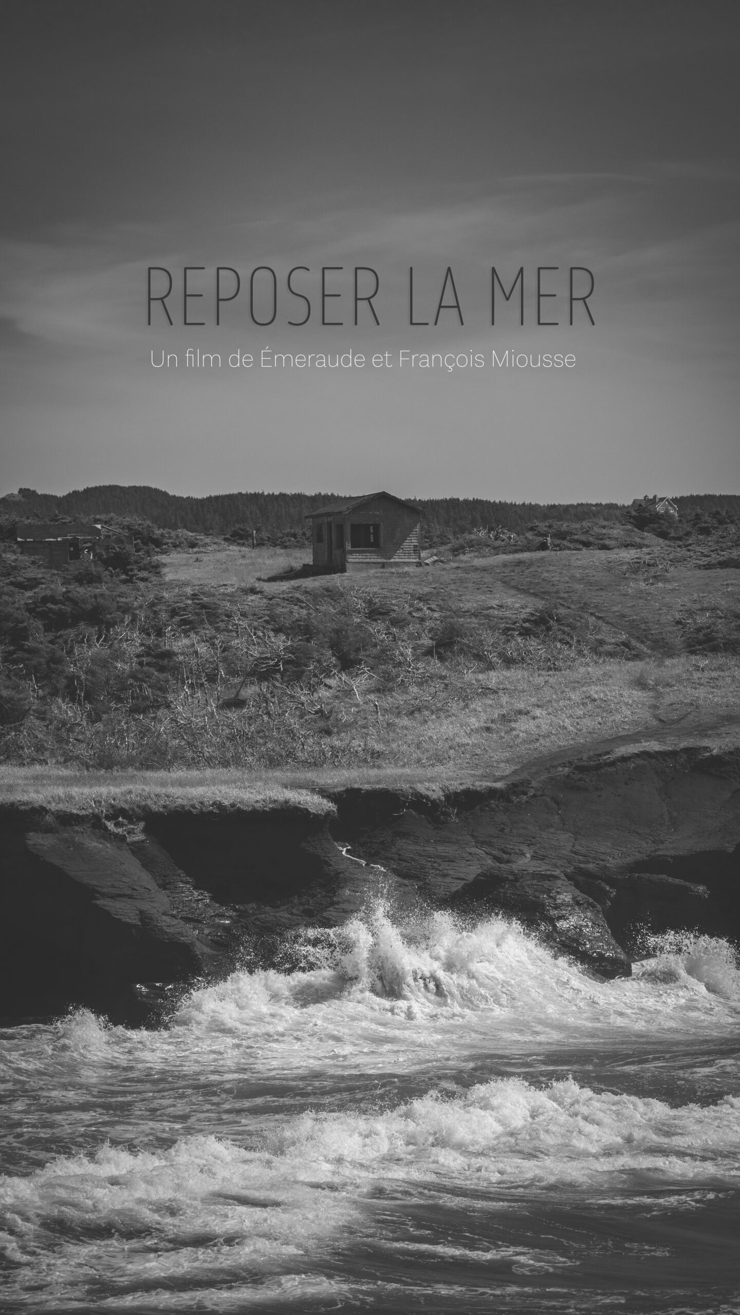 Visuel du film Reposer la mer
